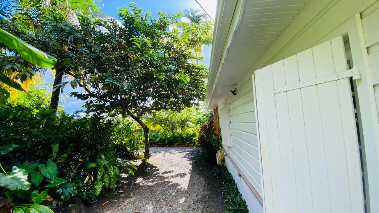 Vakantiehuis Majo Lounge Dans Un Jardin Tropical A 5 Min De La Mer Caraibe Saint-Pierre Martinique