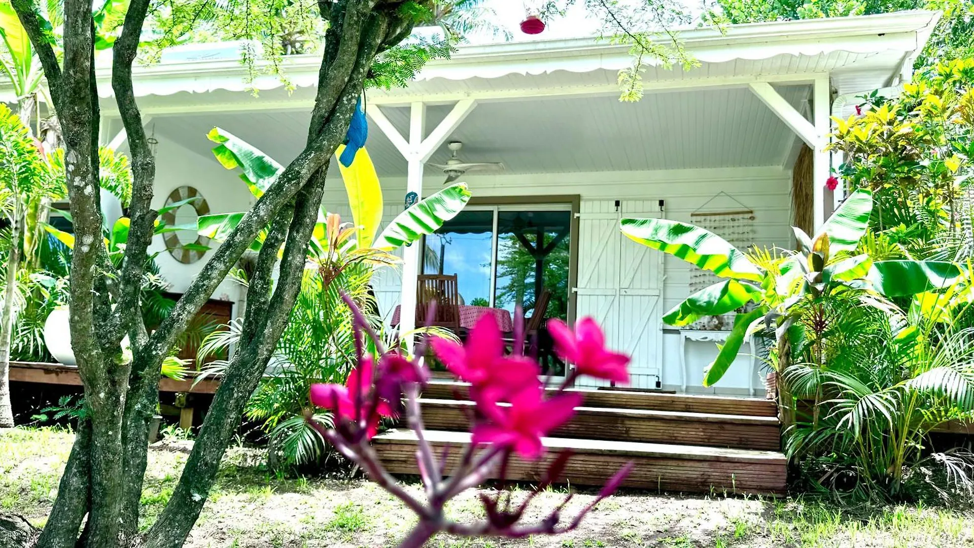 Majo Lounge Dans Un Jardin Tropical A 5 Min De La Mer Caraibe Saint-Pierre